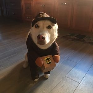 Meet your Posher, Matthew